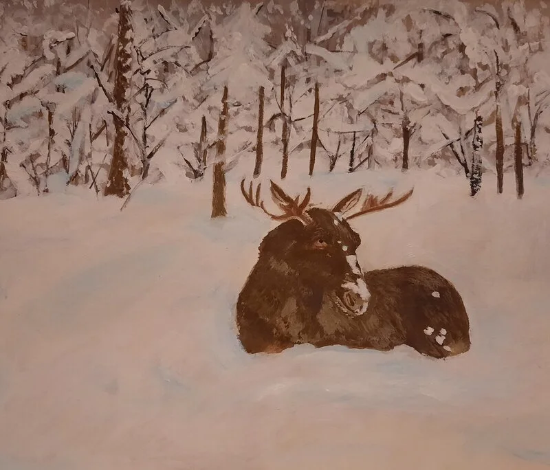 Akrylmålning Älg, vintervila av Carin Hyback