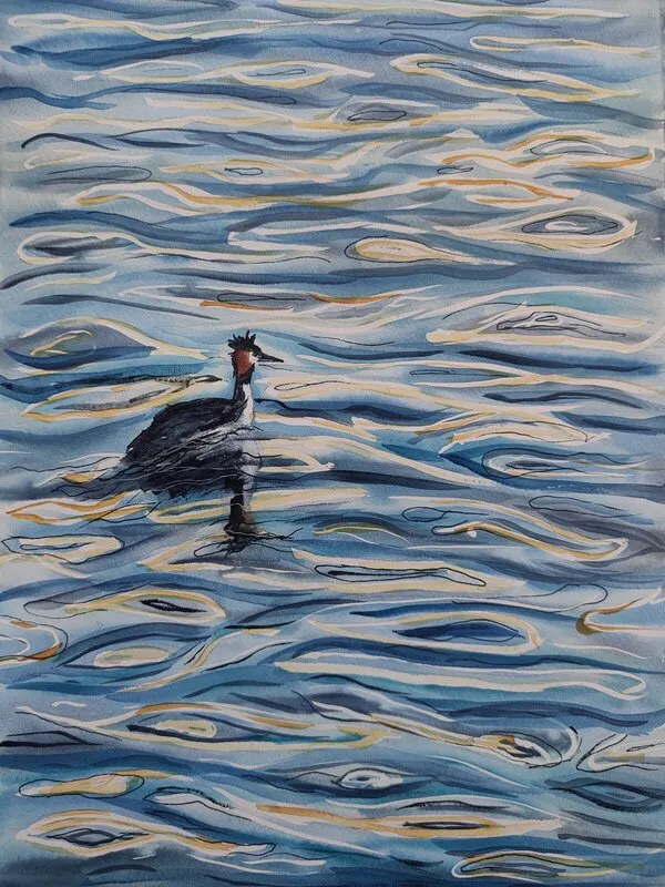 Akvarell Skäggdopping av Sofie Castenvall