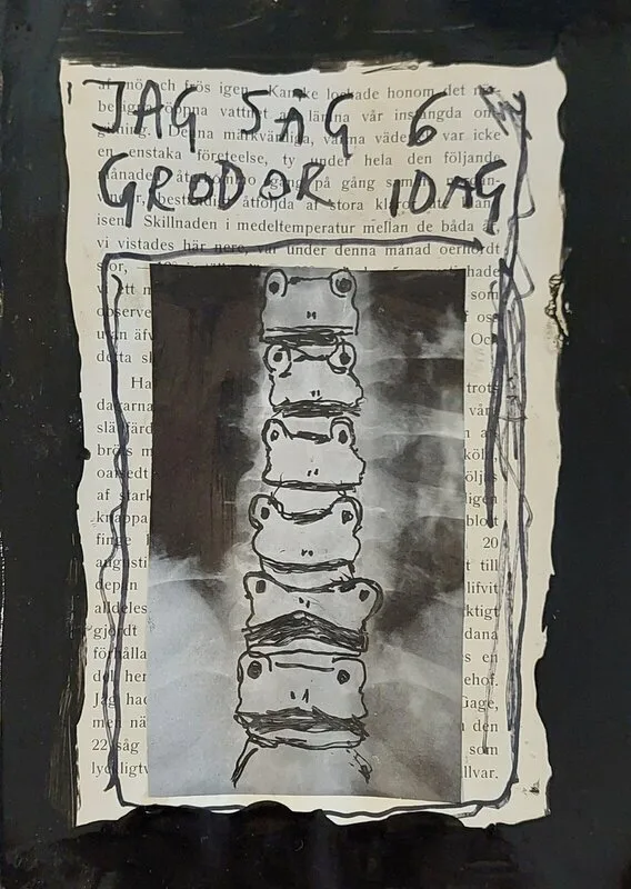 Jag såg 6 grodor idag av Mikael Jonsson