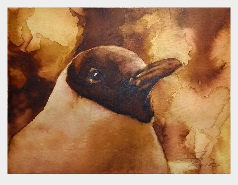 2 av Petter Brorson Edh