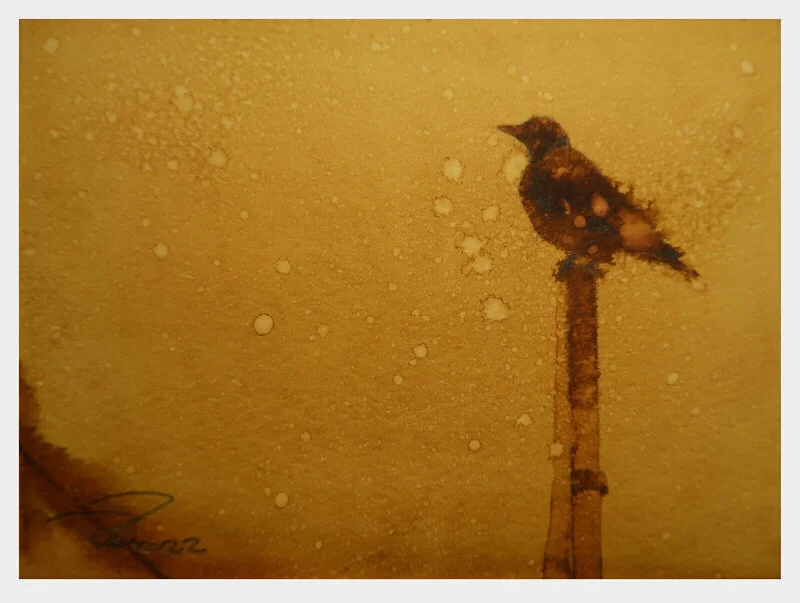 10 av Petter Brorson Edh