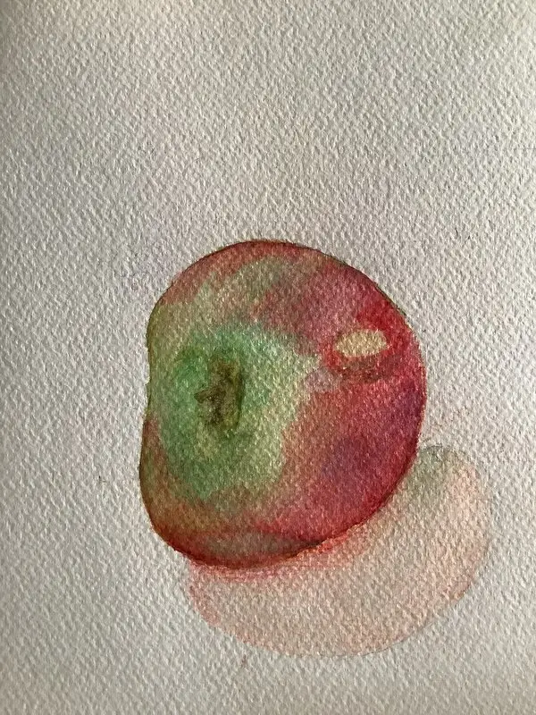 Akvarell Äpple av Maria Widermark