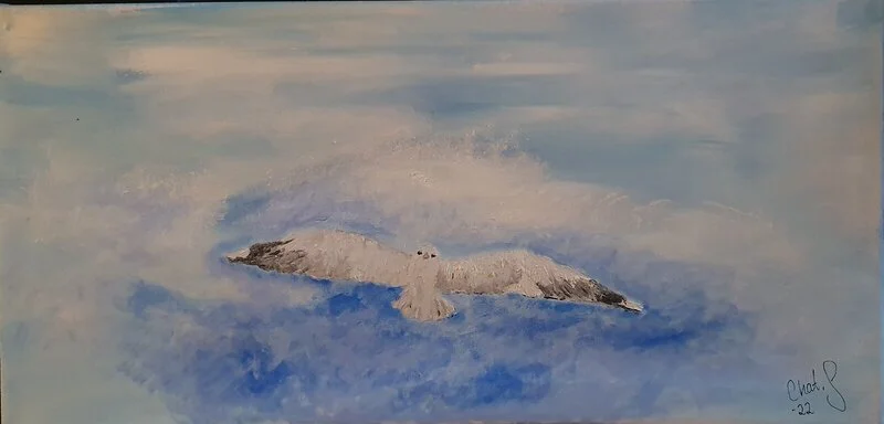Sommarmås av Chatarina Salomonsson