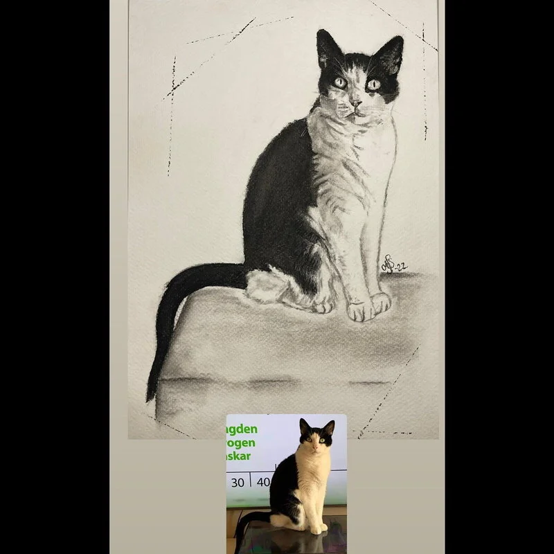 Katt av Ann-Sofie Stjernkvist
