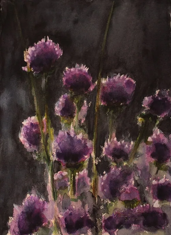 Akvarell Gräslök av Göran Ekström