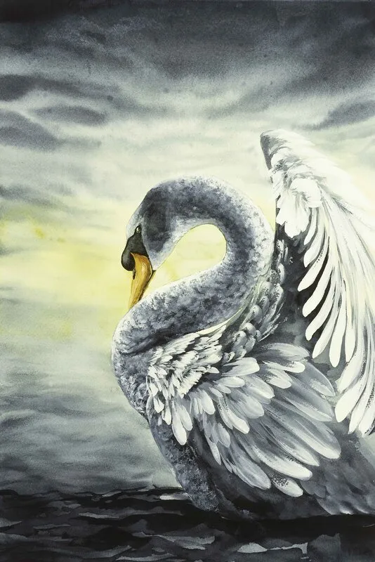 Grace av Malin Kämpe