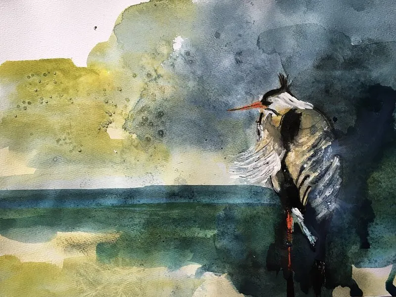 Akvarell Gråhäger av Gunilla Tuvin