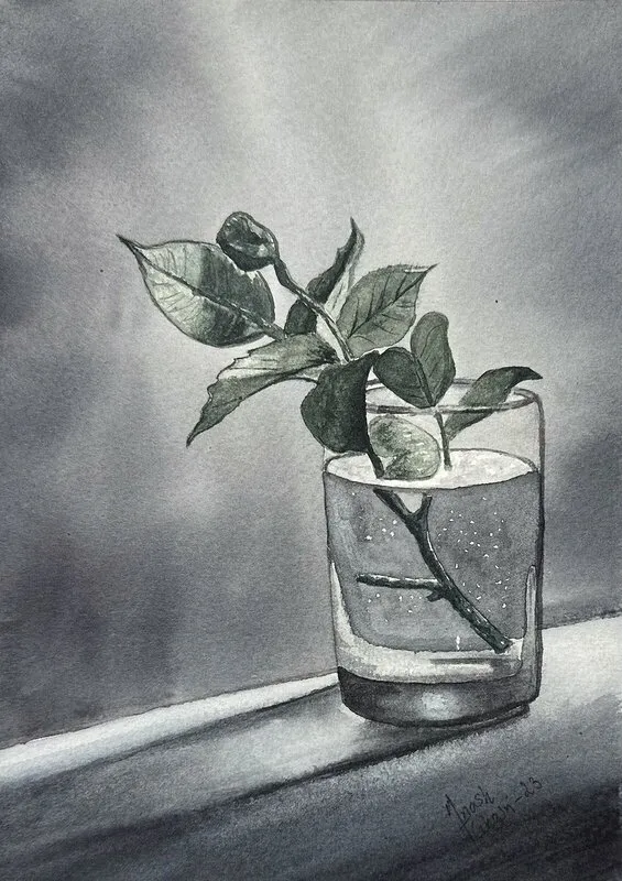 Akvarell Vårviskning av Anosh Ghasri