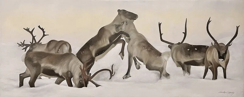 Oljemålning Reindeer fight II av Sofia Ohlsén