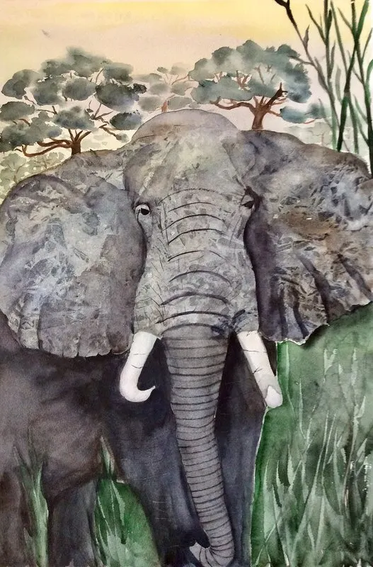 Akvarell Sydafrika av Margareta Mattsson