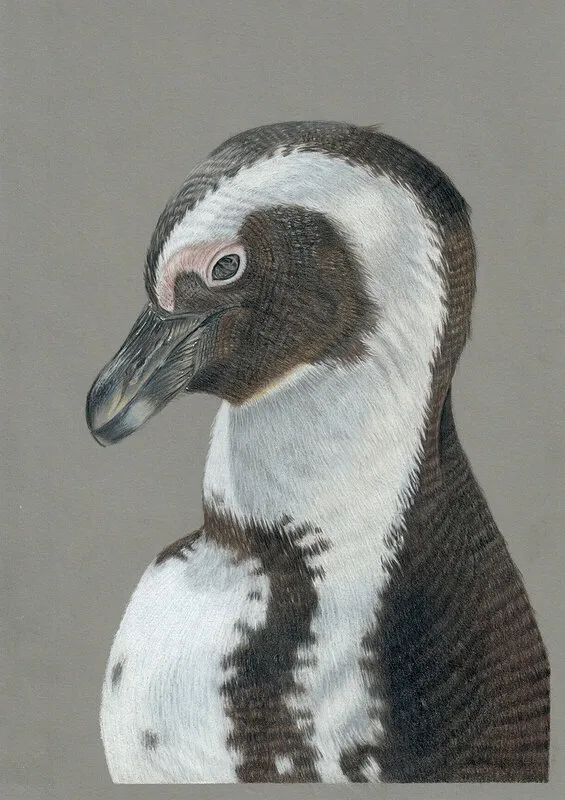 Solen värmer av Angelica Diehn