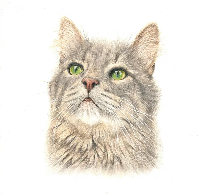 Smaragdögonen av Angelica Diehn