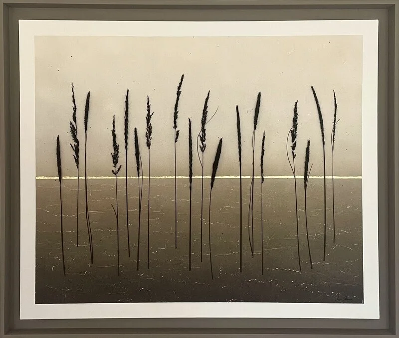 Vass vid horisont av Anna Åkerman