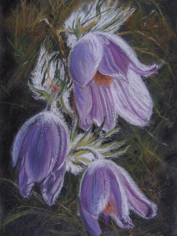 Backsippor pastell av Maud Thilén Bengtsson