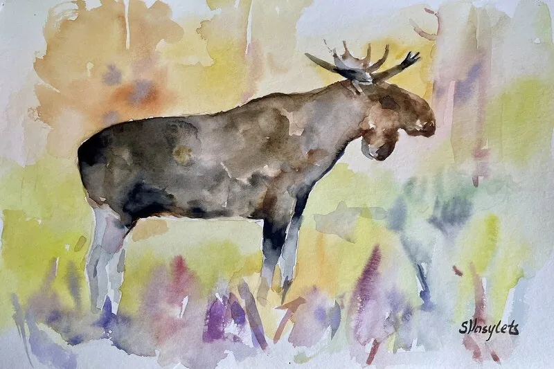 Akvarell Älg av Svitlana Vasylets