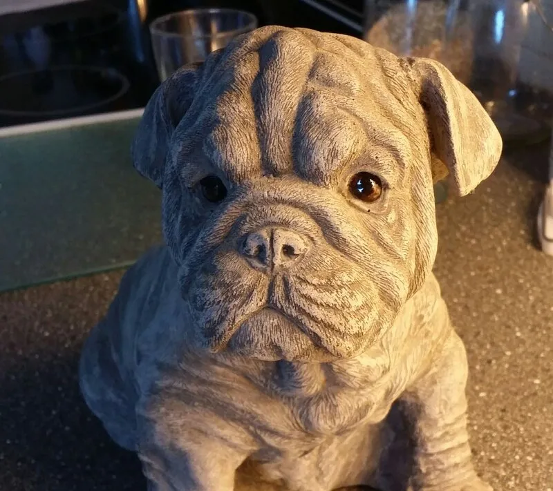 Akrylmålning Bulldog av Birgitta Öqvist