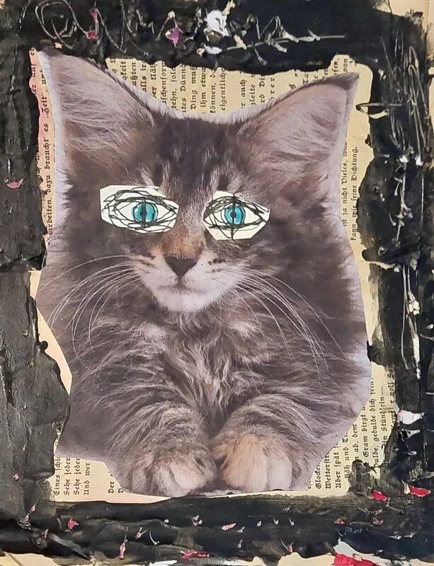 Katt av Mikael Jonsson