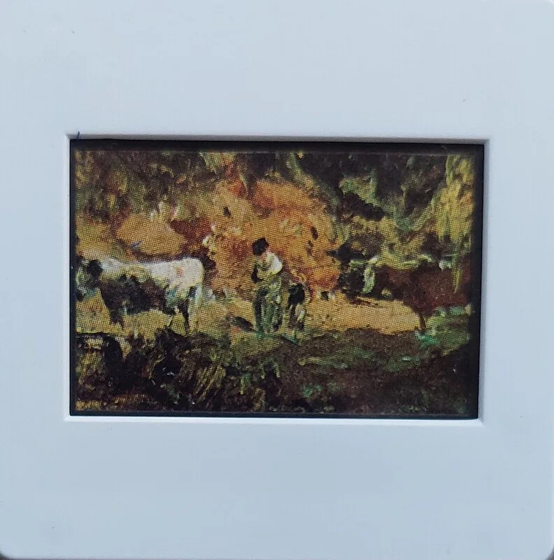 Kossa vad det kossa vill av Mikael Jonsson