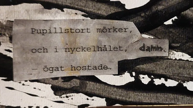 Pipillstort mörker av Mikael Jonsson