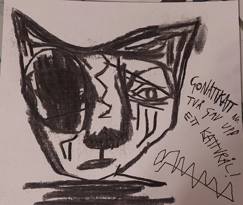 Gonattkatt av Mikael Jonsson