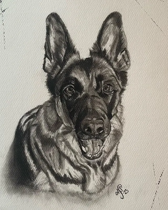 Schäfer av Ann-Sofie Stjernkvist