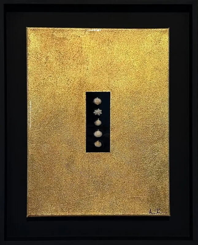 Snäcka Guld av Anna Åkerman