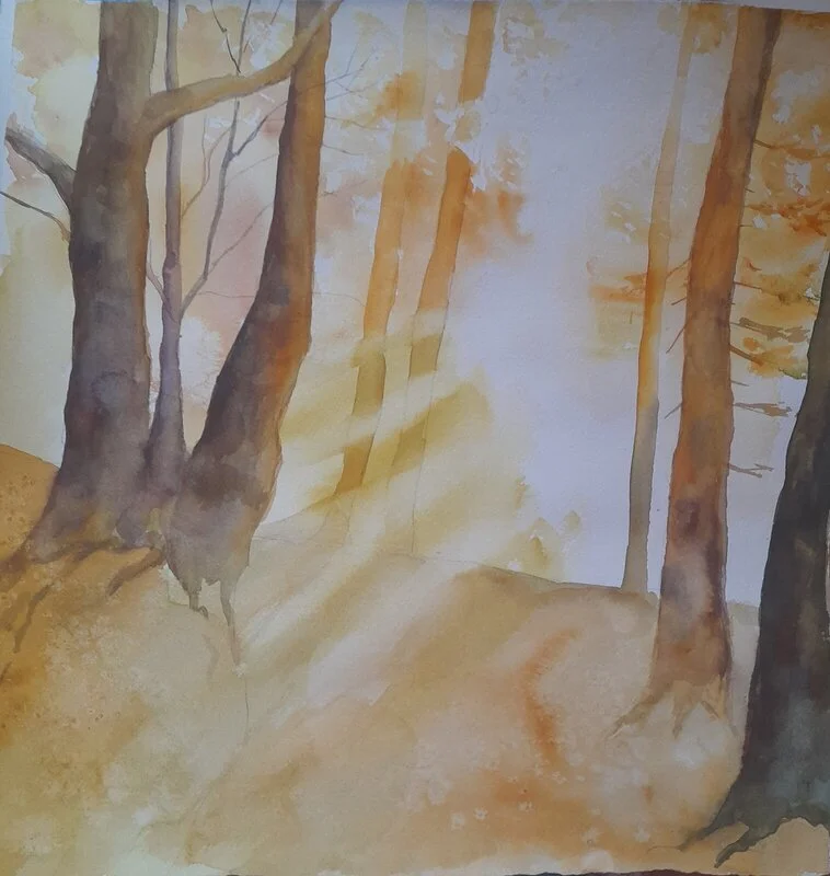 Akvarell Skogsljus av Petra Skogsberg