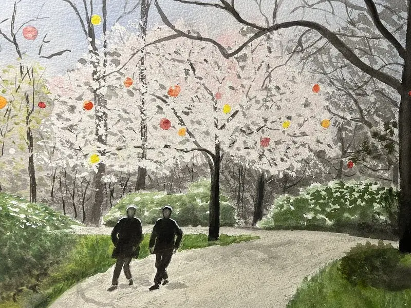 Akvarell Körsbärsblom av Eva Leckborn