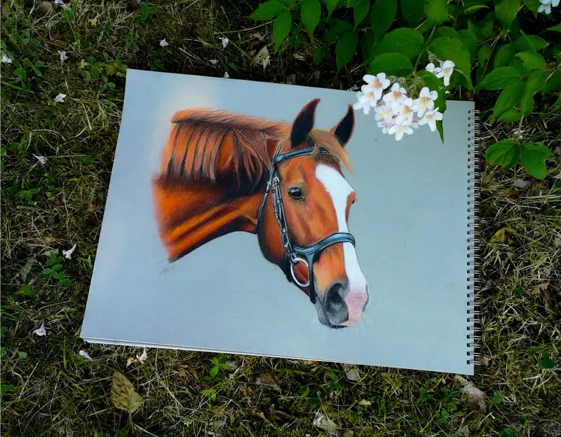 Fabiano av Emilia Wallin