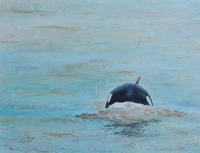 Späckhuggare i skärgården - Limited edition fine art print av Pernilla Sävestrand