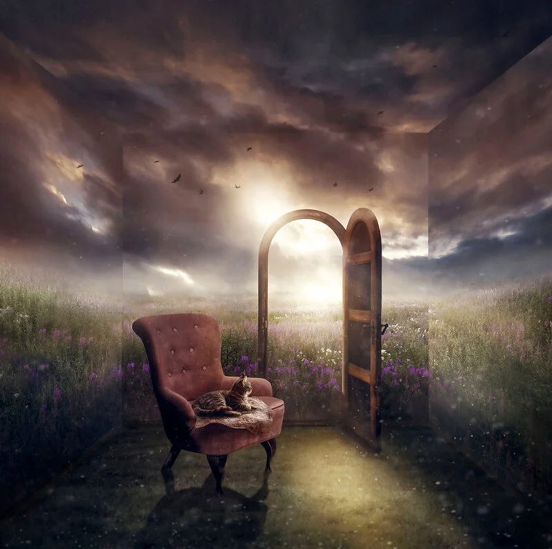 Room with a View av Sara Victoria Sandberg