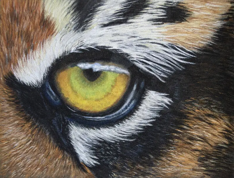 Eye of the Tiger av Carina Svärd
