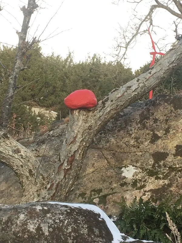 Skulptur Hjärnoxel av Karin Olander Carlson