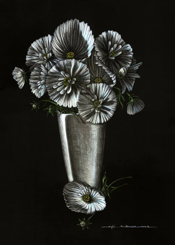 White cosmos flowers - Vita rosenskära blommor av Egle Kristensen