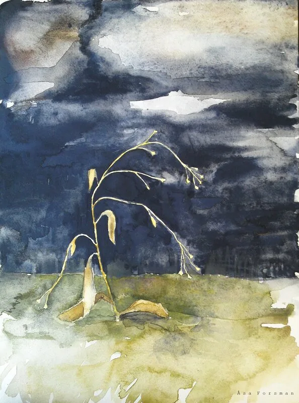 Glöm mej inte 2 av Åsa Forsman