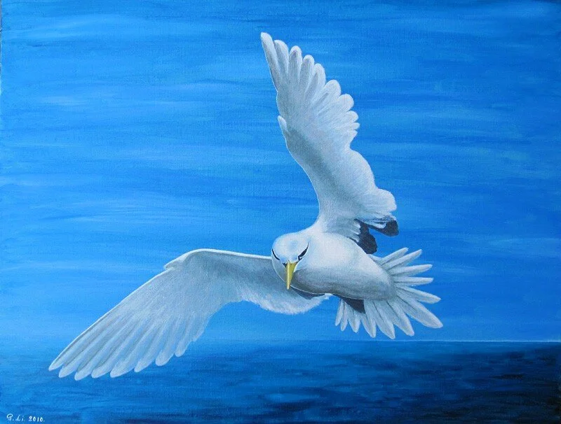 Akrylmålning Exotic seabird av Gösta Lindunger