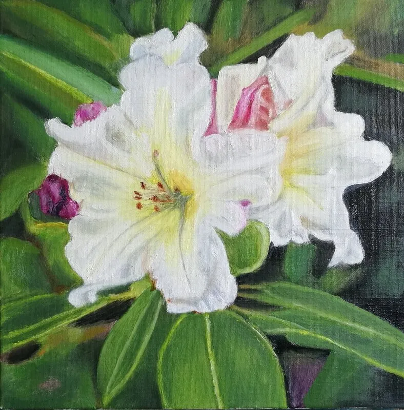 Oljemålning Rhododendron skönheter av Kajsa Stamenkovic