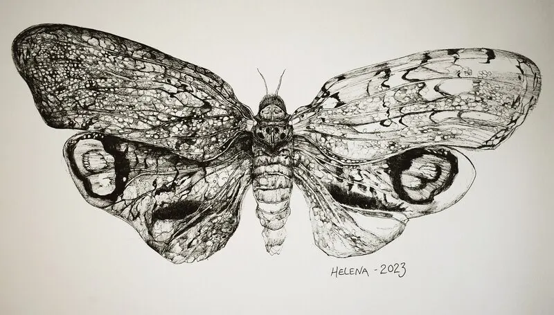 Moth av Helena Ekroth