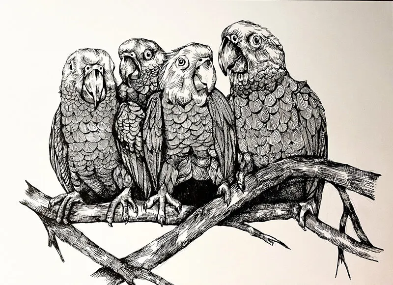 Aror av Anna-Karin Engdahl