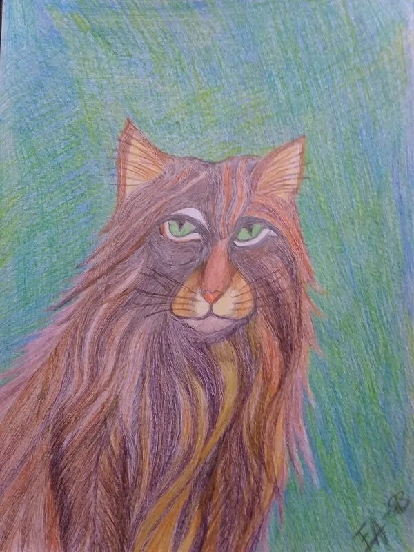 Katten av Eivor Asp