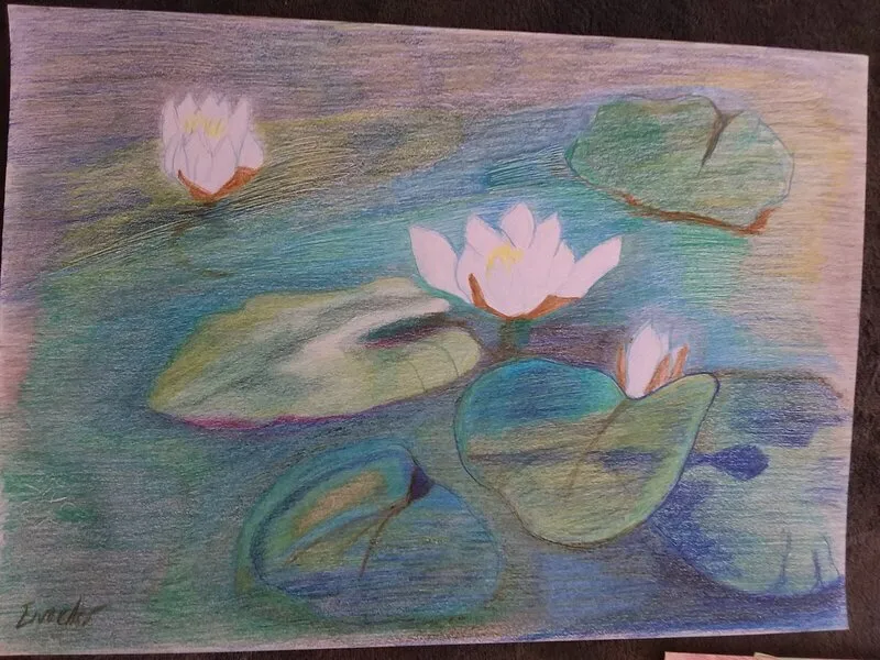 Näckrosen av Eivor Asp