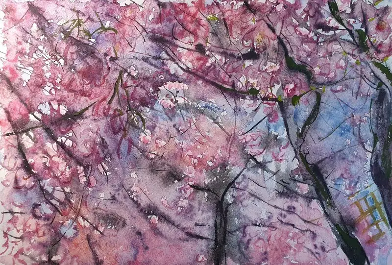Akvarell Sakura. Cherry Blossom in Stockholm. (inramad) av Olga Brink Art