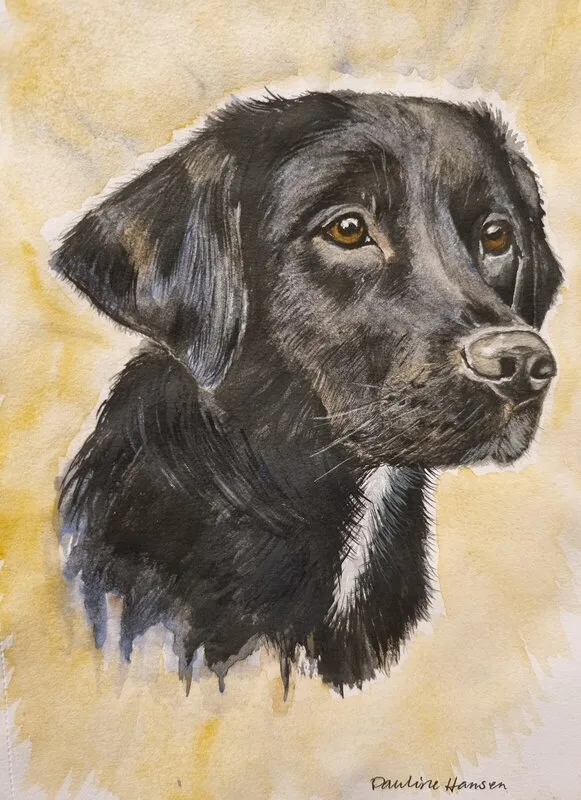 Akvarell The dog av Pauline Hansen