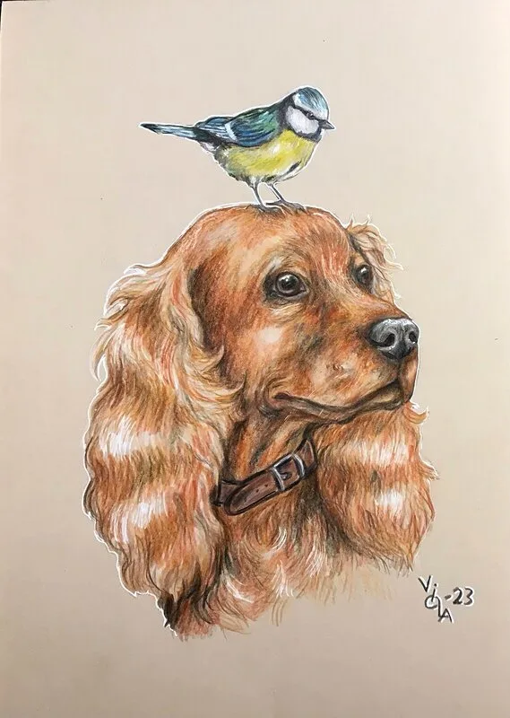 Oväntad Vänskap av Viola Clarin