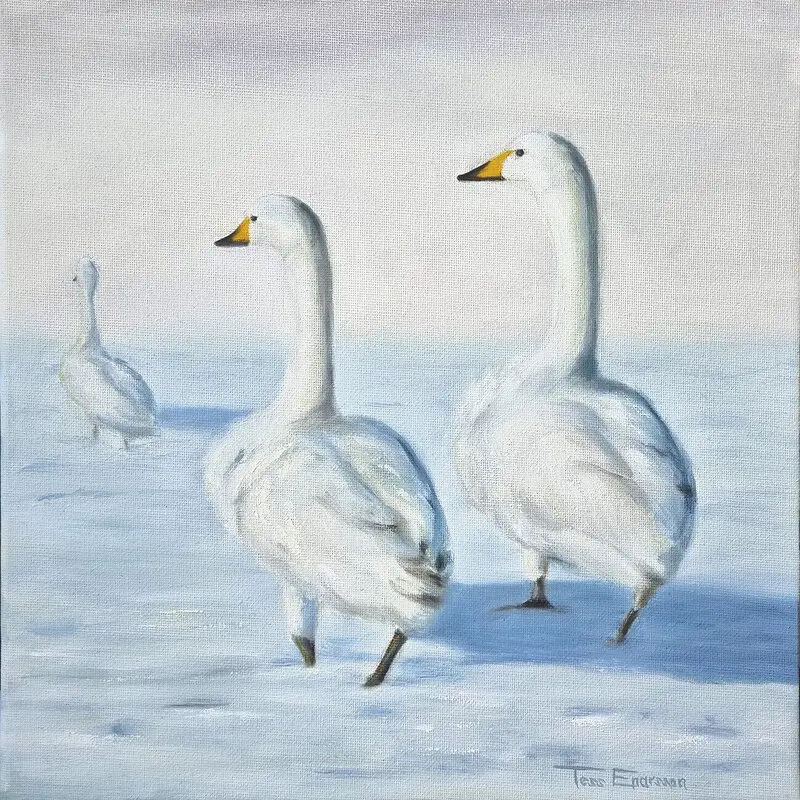 Oljemålning Svanar av Tess Enarsson