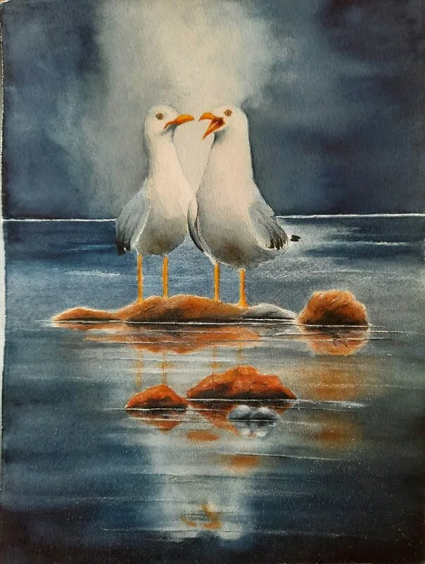 Akvarell Chans??    Måsar av Birgitta Åström