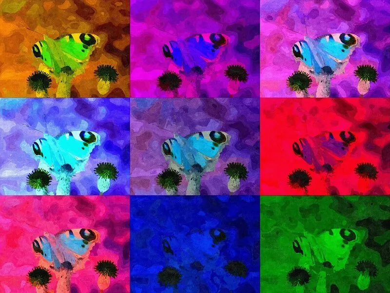 Påfågelöga fjäril Pop Art I av Harri Ylikomi