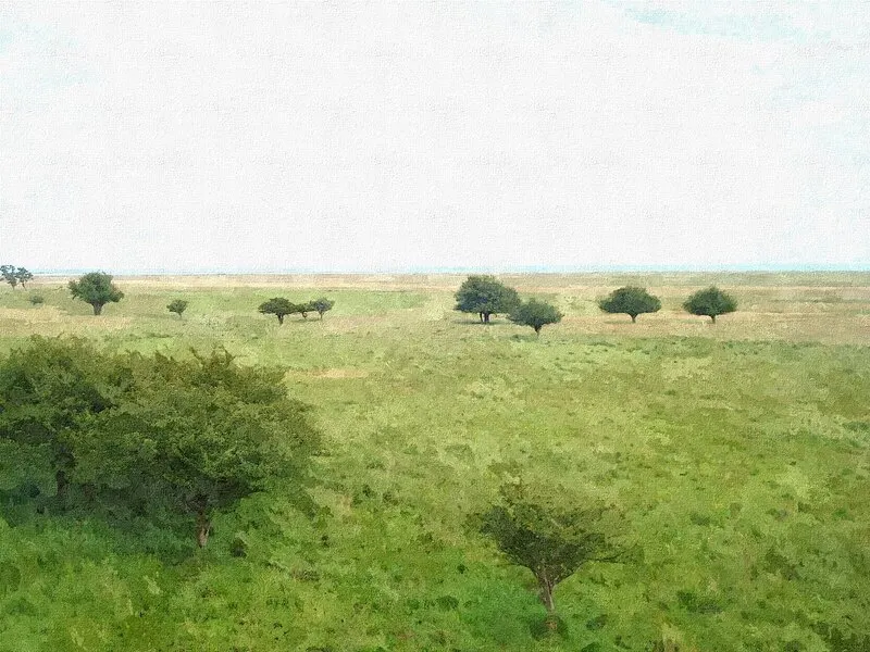 Öland II av Harri Ylikomi