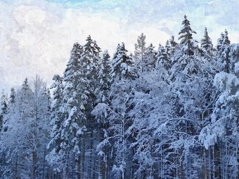 Vinter i Blekinge II av Harri Ylikomi