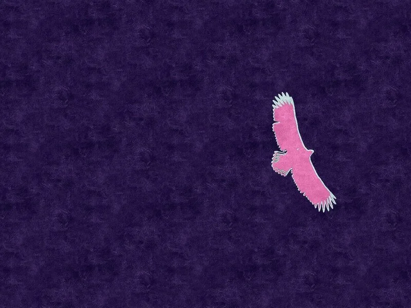 Havsörn på Blekinges himmel Pop Art XIV av Harri Ylikomi
